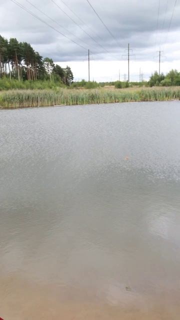 Истина, которую должен знать каждый.