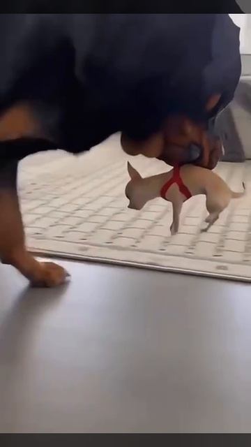 Мне твои нравоучения не интересны😏))