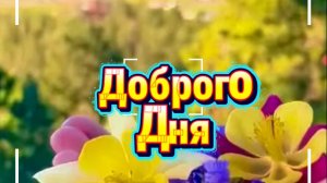 Доброго дня и хорошего настроения прекрасного дня! ☀️🌿