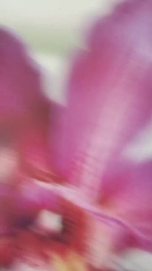 страдаю фигнёй