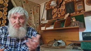 Ночные игры сушьностей.