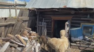 Мои знаменитости,которые набрали миллион просмотров