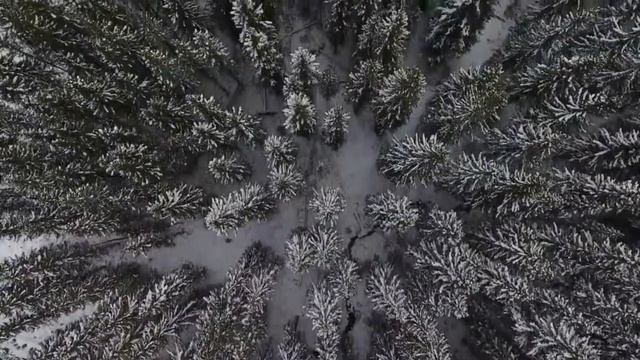 Прощеное воскресенье.mp4