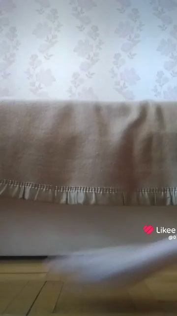 Like_2026-03-11-14-47-15.mp4