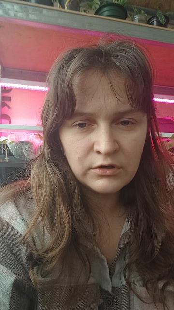 Петуния Изи Вейв