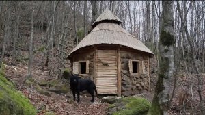 Построил круглую каменную хижину в лесу за два месяца. Бушкрафт