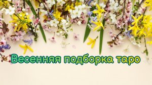 Весенняя подборка колод таро.