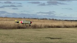 Aлександр в гостях....