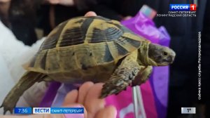 Вести Санкт-Петербург. Выпуск 07.35 от 18.03.2026