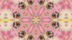 Весна! Очаровательные тюльпаны 10! Киностудия Мудрого Кота Тимофея!