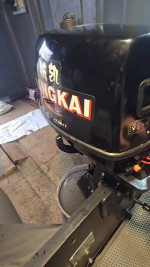 Запуск лодочного мотора