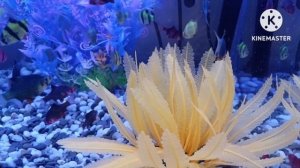 МУЗЫКАЛЬНОЕ ВИДЕО ДЛЯ СНЯТИЯ СТРЕССА,ДЕПРЕССИИ И УСТАЛОСТИ . РЕЛАКС