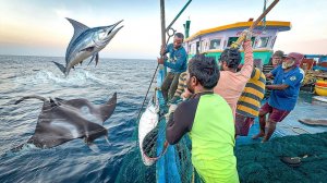 На одиннадцатый день мы остались в открытом море и поймали крупную рыбу