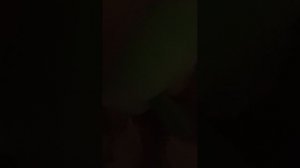 numberblocks последний