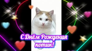 С Днём рождения, кот! Поздравление для котика