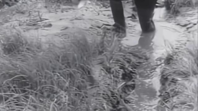 Испытания УРАЛ-380c-862 с активным полуприцепом 1967