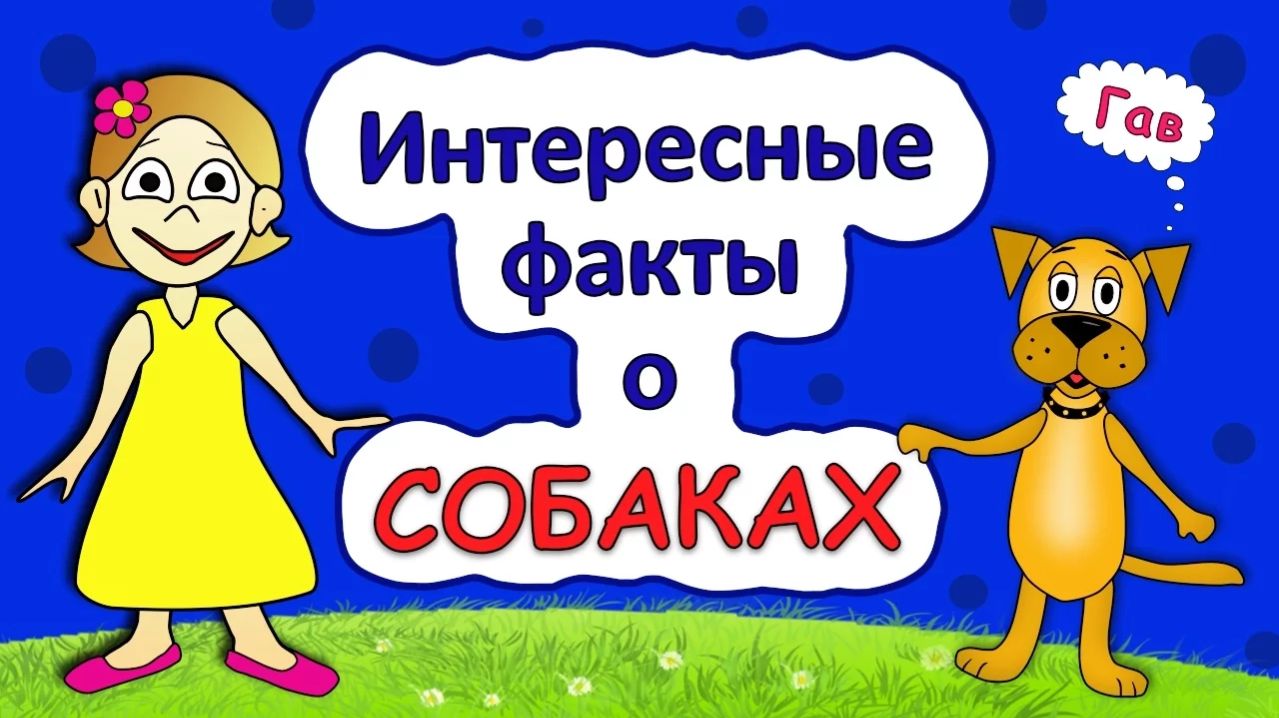 Интересные факты о собаках 🐶  Развивающие мультфильмы для детей от бабушки Шошо