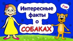 Интересные факты о собаках 🐶  Развивающие мультфильмы для детей от бабушки Шошо