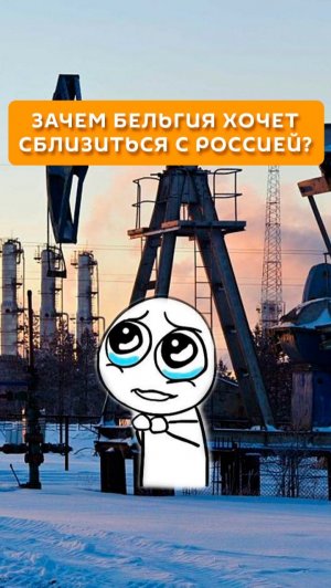 Зачем Бельгия хочет сблизиться с Россией?