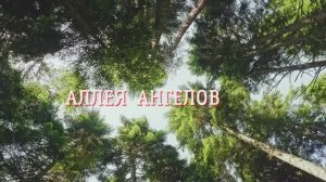 Аллея Ангелов - Ирина Сук