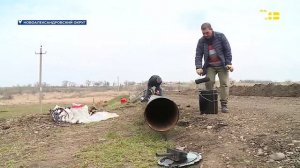 Новости на Своём от 19 марта 2026 г. 8:30