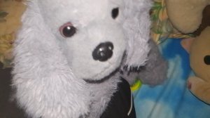 ленивое видео