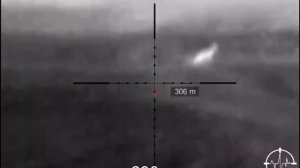 Выстрелы на ДАЛЬНИЕ дистанции - КОСУЛИ, ЛИСЫ, ШАКАЛЫ и другие хищники