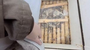 Пасека. А лес спит.