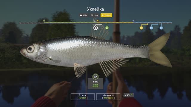 РР4 Вьюнок. Уклейка.