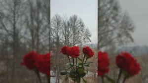 Сегодня вязала и вышивала по часам. Что получилось?