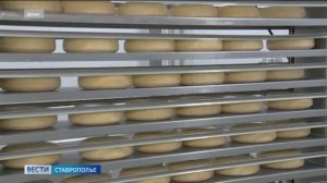 Ставропольские предприятия выпускают более 700 наименований молочной продукции