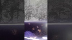 Майнкрафт джунгли