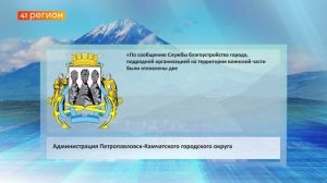 БЕЗДОМНЫЕ СОБАКИ НАПАЛИ НА РЕБЁНКА НА ТУШКАНОВА В ПЕТРОПАВЛОВСКЕ • НОВОСТИ КАМЧАТКИ