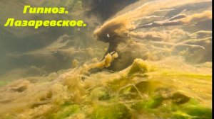 Гипноз. Лазаревское летом!