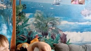 24 часа на диване