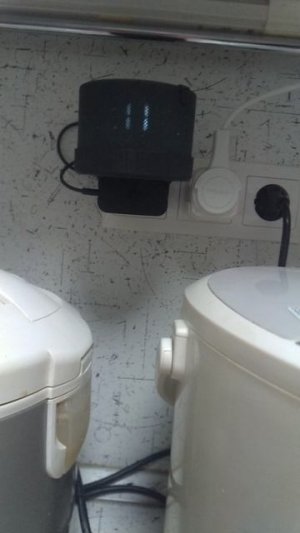 Алиса может гаварить без Алисы