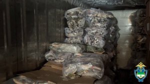 Полиция Коми изъяла у двух бизнесменов-партнёров порядка 13 тонн немаркированной мороженой рыбы