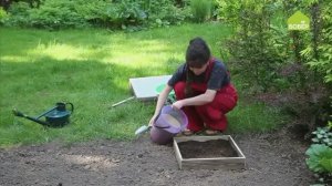 Сажаем семена многолетних растений. Правильная посадка семян. Советы Ольги Платоновой