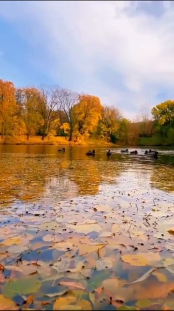 Стихотворение «Осень, я тебя люблю!»