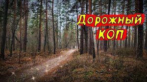 Находки у дороги. Лесной коп.