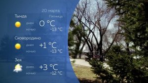 Прогноз погоды 20.03.2026
