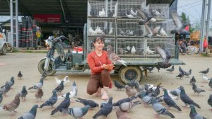 Хуонг наловила много голубей на ферме. Везу их на грузовике для продажи.