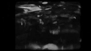 SIKRET - Habibi (AVORA REMIX)