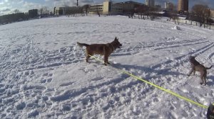 Варвара утомила старичка своим своеобразным флиртом