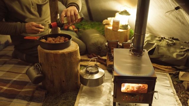 ПОХОД С СОБАКОЙ В ДИКИЙ ЛЕС