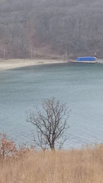 105 км пляж бухта Отрада