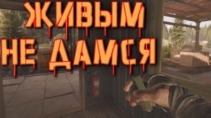 Arena Breakout Infinite - ЖИВЫМ НЕ ДАМСЯ