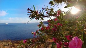 История про светлое будущее.