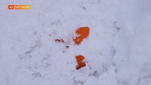 ДВА УГОЛОВНЫХ ДЕЛА ВОЗБУДИЛИ В ПЕТРОПАВЛОВСКЕ ПОСЛЕ ГИБЕЛИ ДЕВОЧКИ НА АКАДЕМИКА КОРОЛЁВА • НОВОСТИ