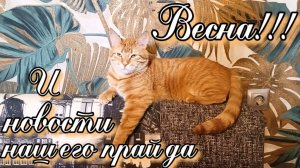 Весна!!! И новости нашего прайда.